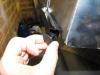 post-4145-0-76437100-1393629129_thumb.jpg