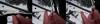 post-21-0-73821700-1532862592_thumb.jpg