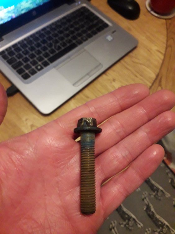 20201203_170926.jpg