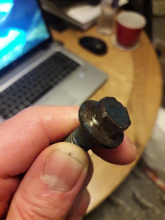 20201203_171006.jpg