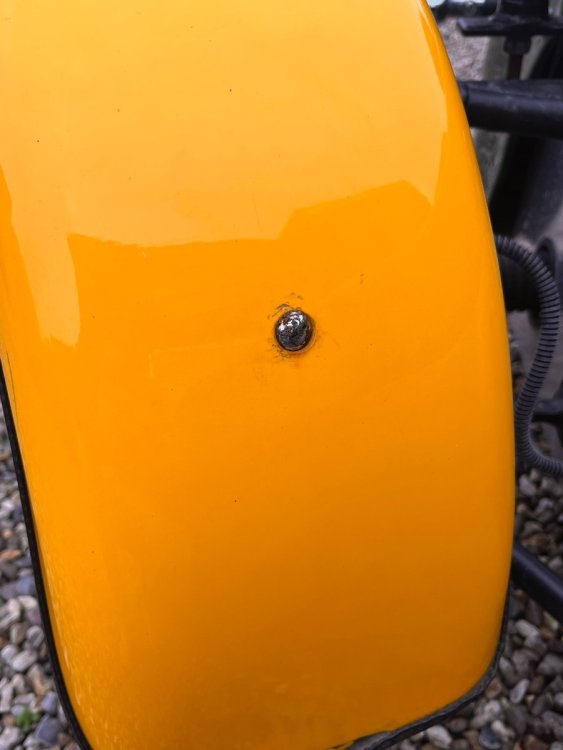 IMG_5733.jpeg